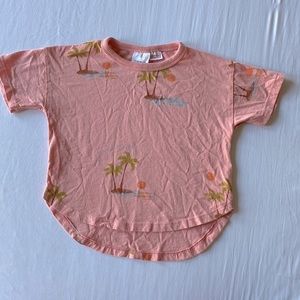 Zara Toddler Boy T-shirt